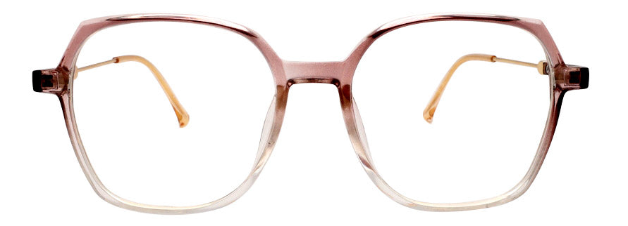 Optica 8193