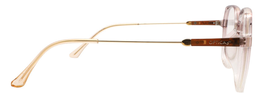 Optica 8193
