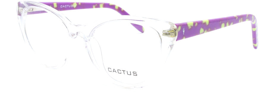 Cactus Winter