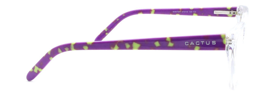 Cactus Winter